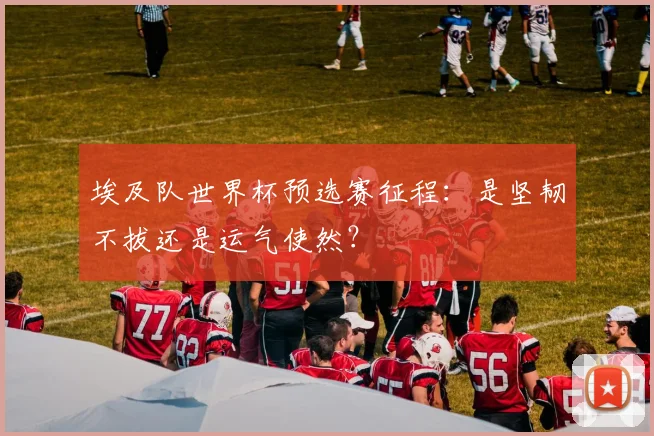 埃及队世界杯预选赛征程：是坚韧不拔还是运气使然？