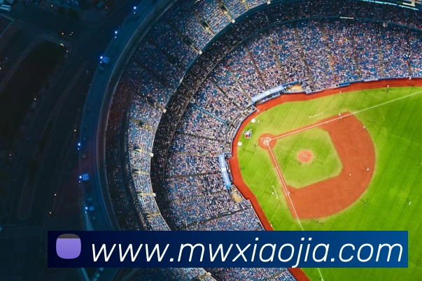 多媒体互动体验